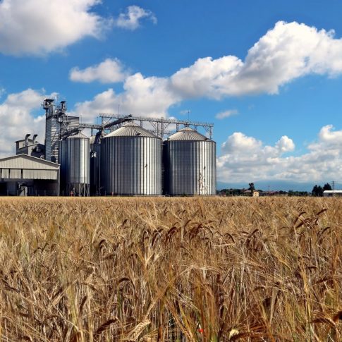 des-silos-dans-un-champ-de-blé