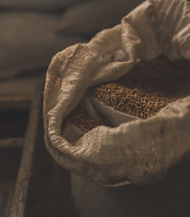 sac de grains