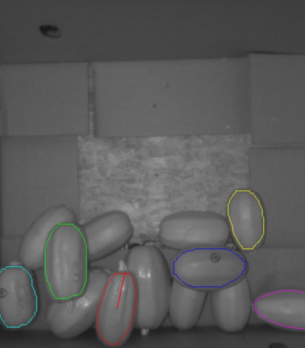 robot guidance squash bin picking